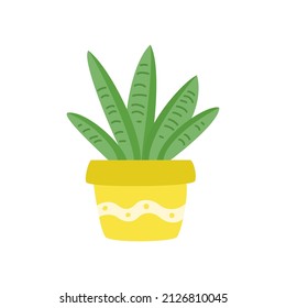 Cartoon cactus in cute pot. Vector illustration.