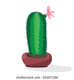 Cartoon cactus desert. Flat vector illustration. Green blooming cactus on white background. Decorative home plant