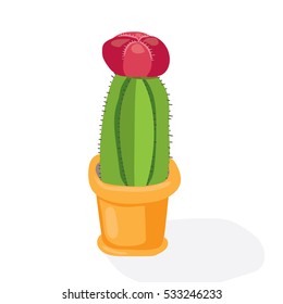 Cartoon cactus desert. Flat vector illustration. Green blooming cactus on white background. Decorative home plant
