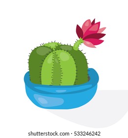 Cartoon cactus desert. Flat vector illustration. Green blooming cactus on white background. Decorative home plant
