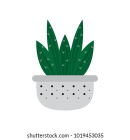 Cartoon cactus icon