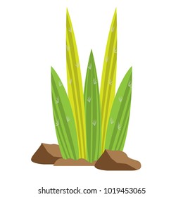 Cartoon cactus icon