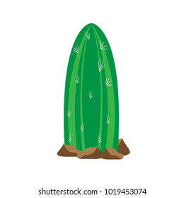 Cartoon cactus icon