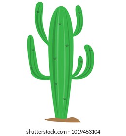 Cartoon cactus icon
