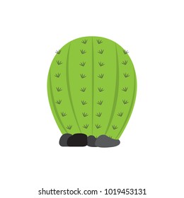 Cartoon cactus icon