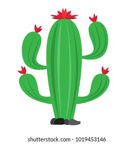 Cartoon cactus icon