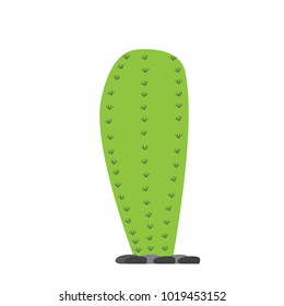 Cartoon cactus icon
