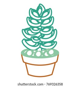 cartoon cactus in a pot