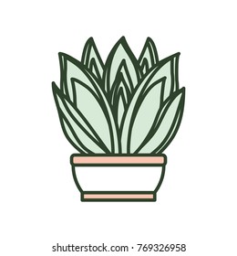 cartoon cactus in a pot