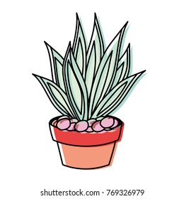 cartoon cactus in a pot
