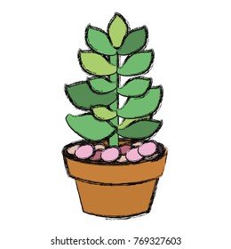 cartoon cactus in a pot