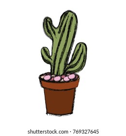 cartoon cactus in a pot