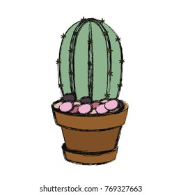 cartoon cactus in a pot