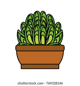 cartoon cactus in a pot