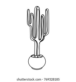 cartoon cactus in a pot