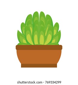 cartoon cactus in a pot