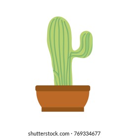 cartoon cactus in a pot