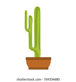 cartoon cactus in a pot