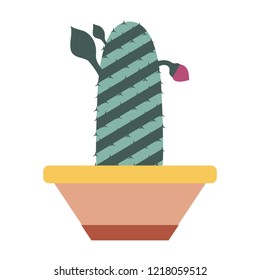 Cartoon cactus in pot. Houseplant succulent icon in flat design.