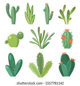 Cartoon cactus set. Vector set of bright cacti and aloe. Colored, bright cacti flowers isolated on white background