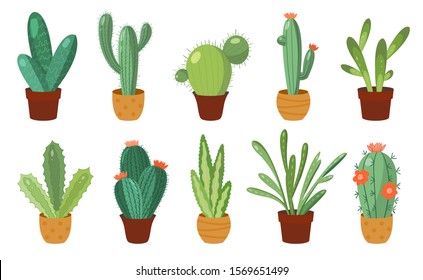 Cartoon cactus set. Vector set of bright cacti and aloe. Colored, bright cacti flowers isolated on white background