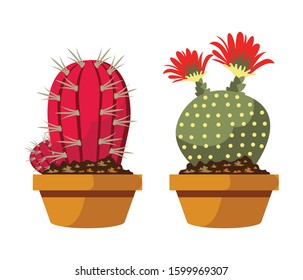 Cartoon cactus set. Vector set of bright cacti and aloe. Colored, bright cacti flowers isolated on white background