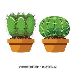 Cartoon cactus set. Vector set of bright cacti and aloe. Colored, bright cacti flowers isolated on white background