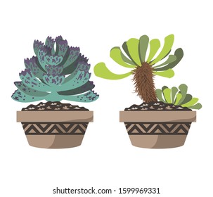 Cartoon cactus set. Vector set of bright cacti and aloe. Colored, bright cacti flowers isolated on white background