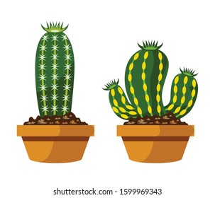 Cartoon cactus set. Vector set of bright cacti and aloe. Colored, bright cacti flowers isolated on white background