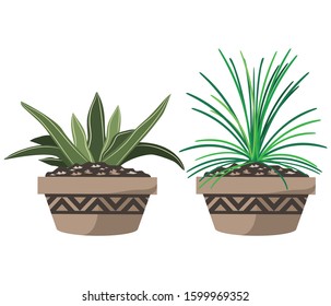 Cartoon cactus set. Vector set of bright cacti and aloe. Colored, bright cacti flowers isolated on white background