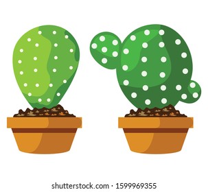 Cartoon cactus set. Vector set of bright cacti and aloe. Colored, bright cacti flowers isolated on white background