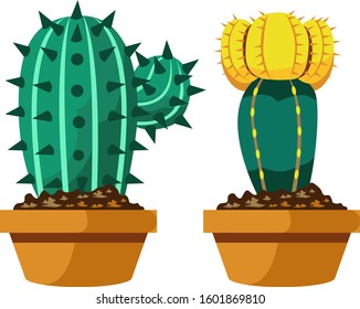 Cartoon cactus set. Vector set of bright cacti and aloe. Colored, bright cacti flowers isolated on white background