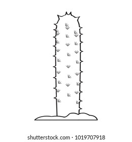 Cartoon cactus sketch