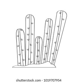 Cartoon cactus sketch