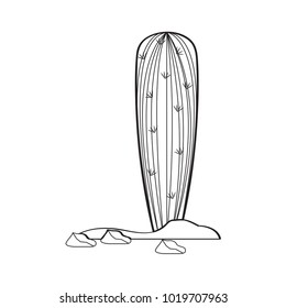 Cartoon cactus sketch