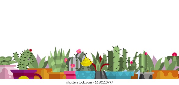 Cartoon cactus and succulents isolated on white background gorizontal banner, vector illustration. Different cacti and succulents with thorns, flowers, leaves and pots for home garden.