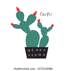Cartoon Cactus. Vector bright blooming cacti in a ceramic pot. Colored, bright cactus flowers on a white background. Flat style