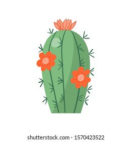 Cartoon cactus. Vector bright cacti. Colored, bright cacti flowers isolated on white background