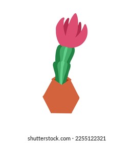 Cartoon cactus. Vector illustration in flat style isolated on white background.