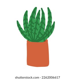 Cactus de dibujos animados. Ilustración vectorial de estilo plano aislada en fondo blanco.