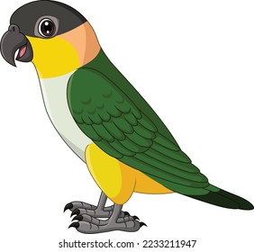 Cartoon Caique Parrot on White Background