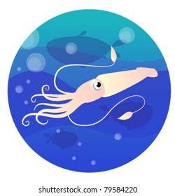 cartoon calamary