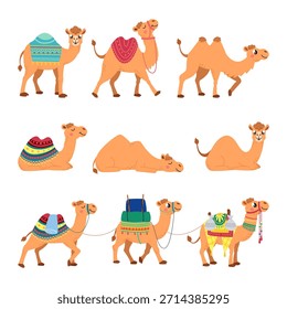 Cartoon-Kamelfiguren. Kamele mit Teppichen und Sätteln. Lustige arabische Tiere zum Mitnehmen und Transportieren. Wüstenfiguren verschiedene Posen, klassischer Vektorsatz