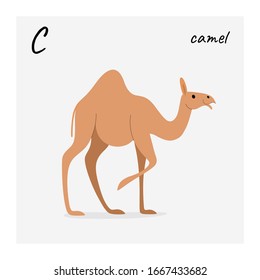 Cartoon camel - cute character for children. Vector illustration in cartoon style.