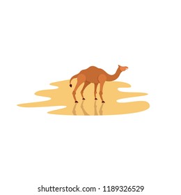 cartoon camel in flat style on desert background
