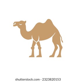 cartoon camel in flat style on white background