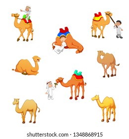 Cartoon camel isolated on a white background, vector illustration