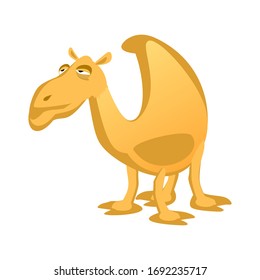 Cartoon camel isolated on a white background.