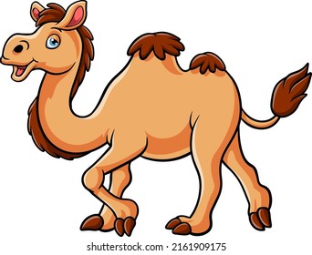 Cartoon camel isolated on white background