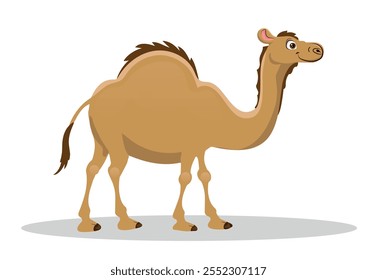 Cartoon camel isolated on white background.